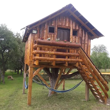 Complex Traditional Casuta Bunicilor-breb Accommodatie bij particulieren *